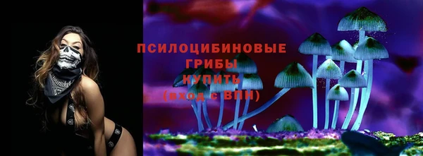 ALPHA PVP Баксан