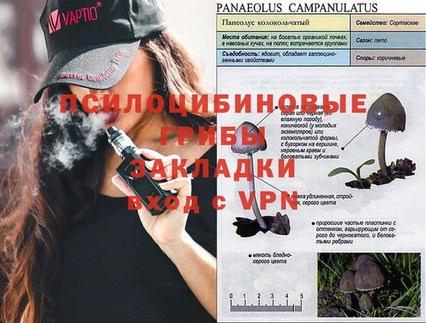 ALPHA PVP Баксан
